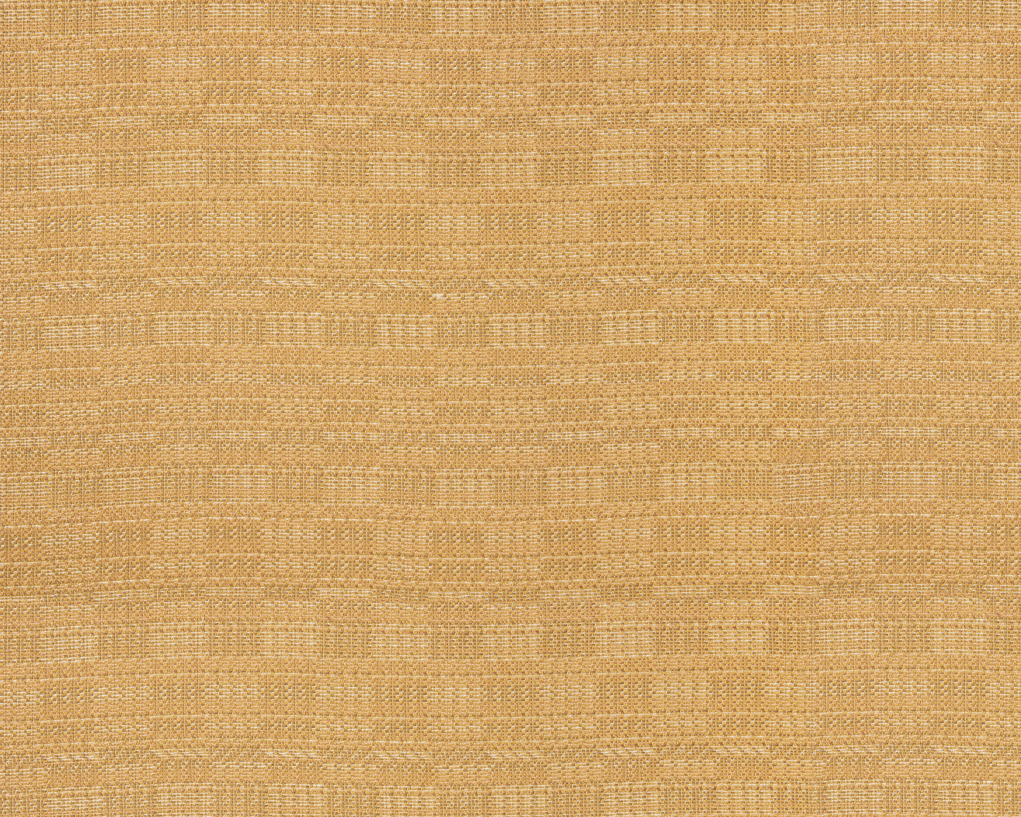 Tetra: Maize