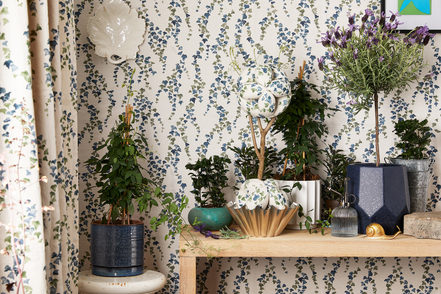 HILLSIDE: Ivy