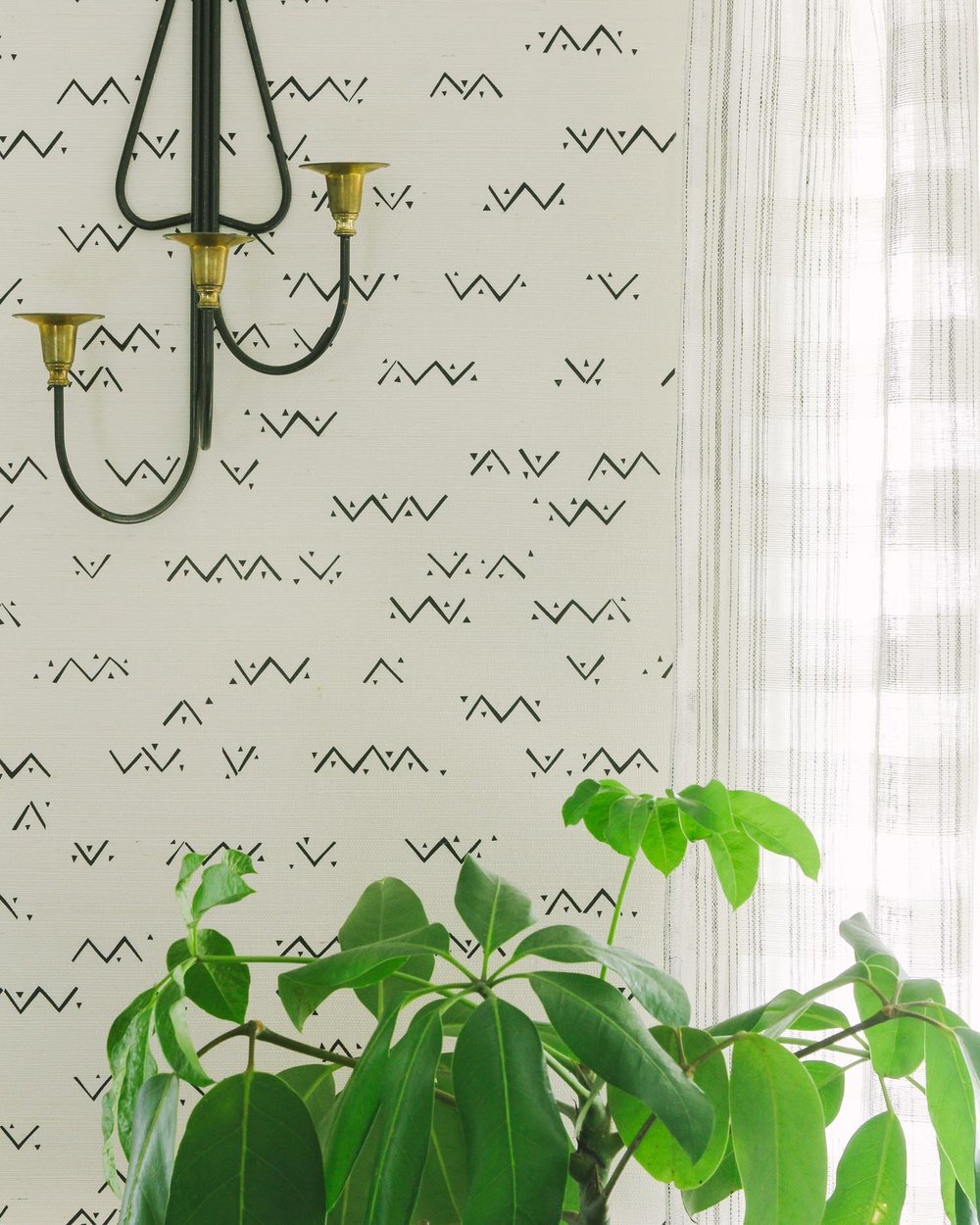 LOXO: Onyx Grasscloth