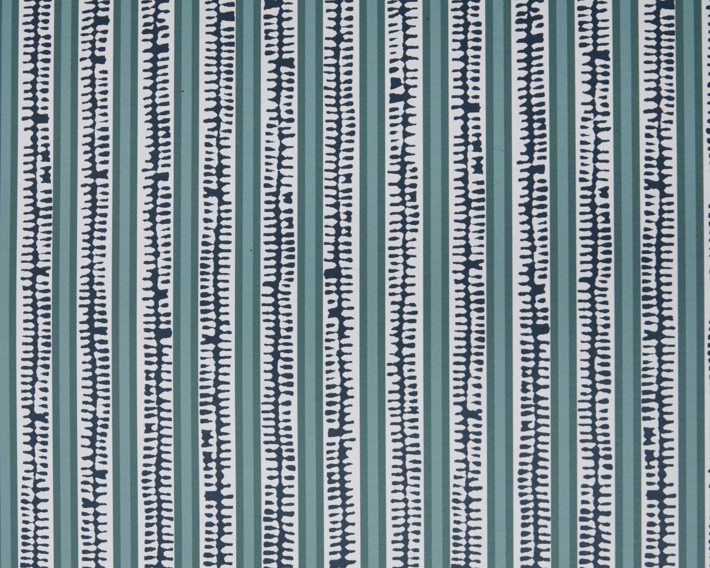 VIA APPIA: Roman Pine