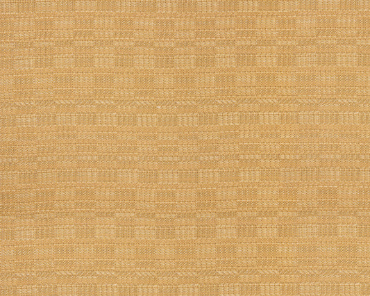 Tetra: Maize