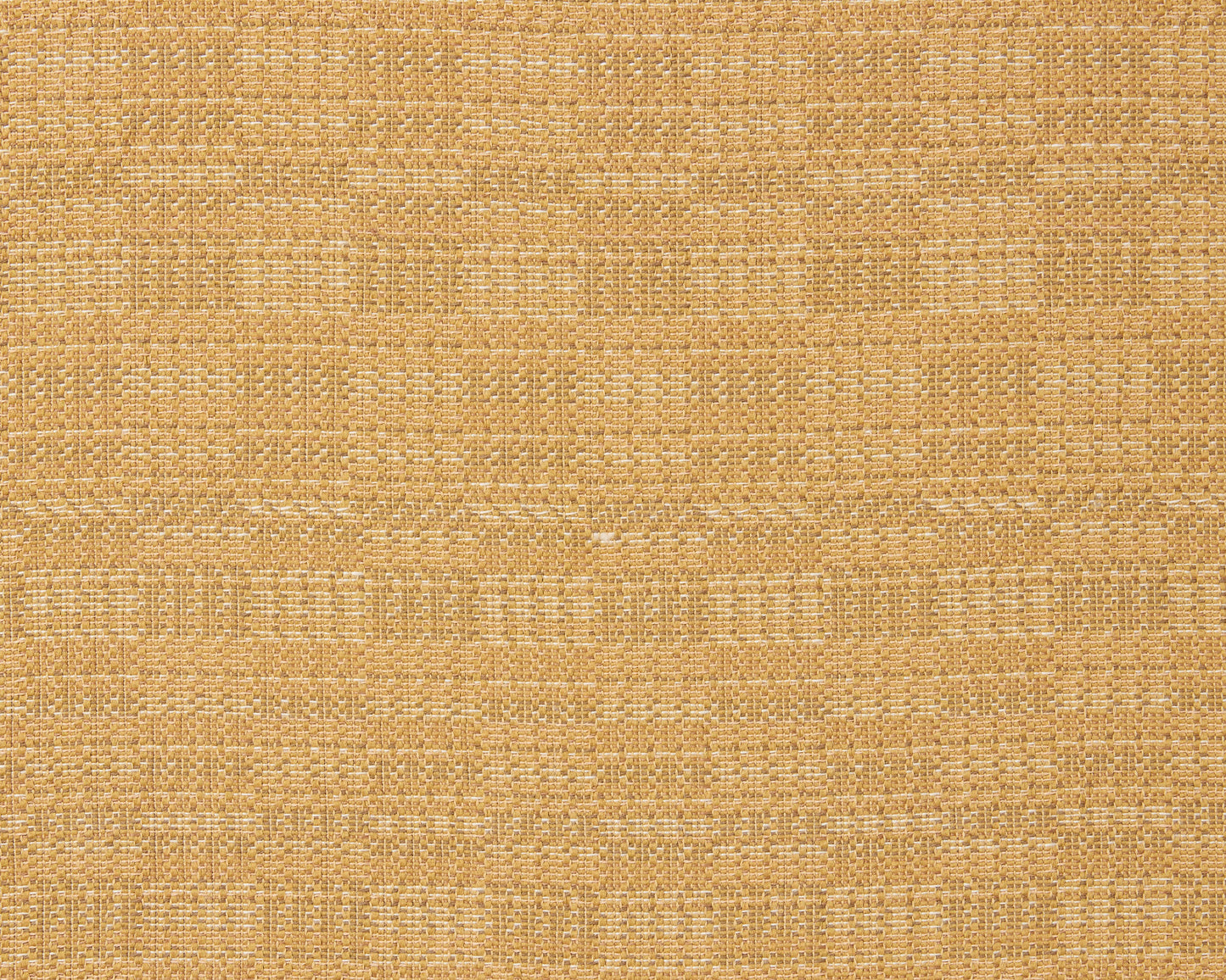 Tetra: Maize