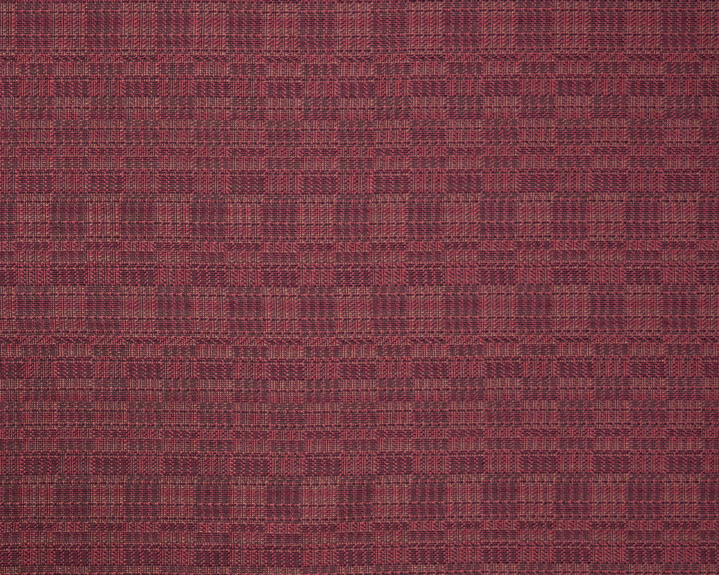 Tetra: Plum
