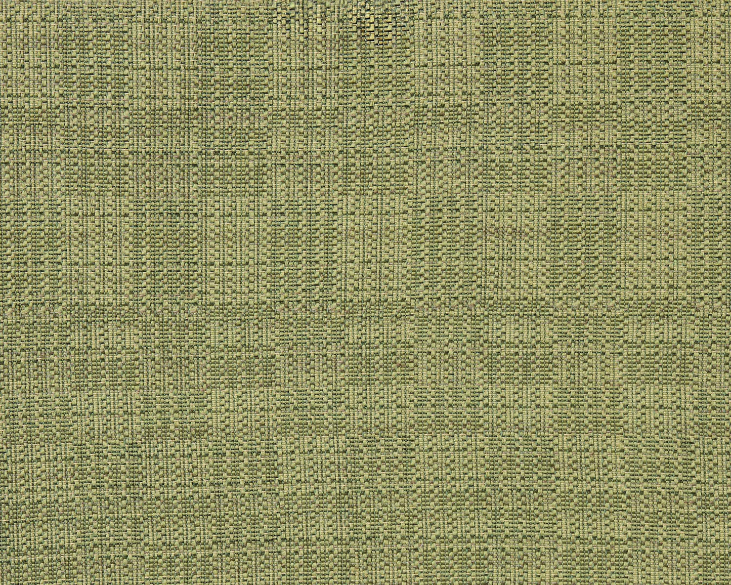 Tetra: Agave